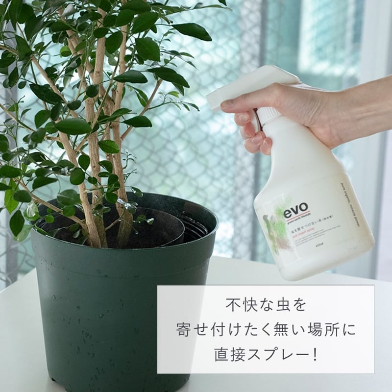 evo 虫を寄せ付けない水 [除虫菊] | Ducks ( plants. )