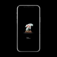 【スマホ壁紙】シンニンギア レウコトリカ