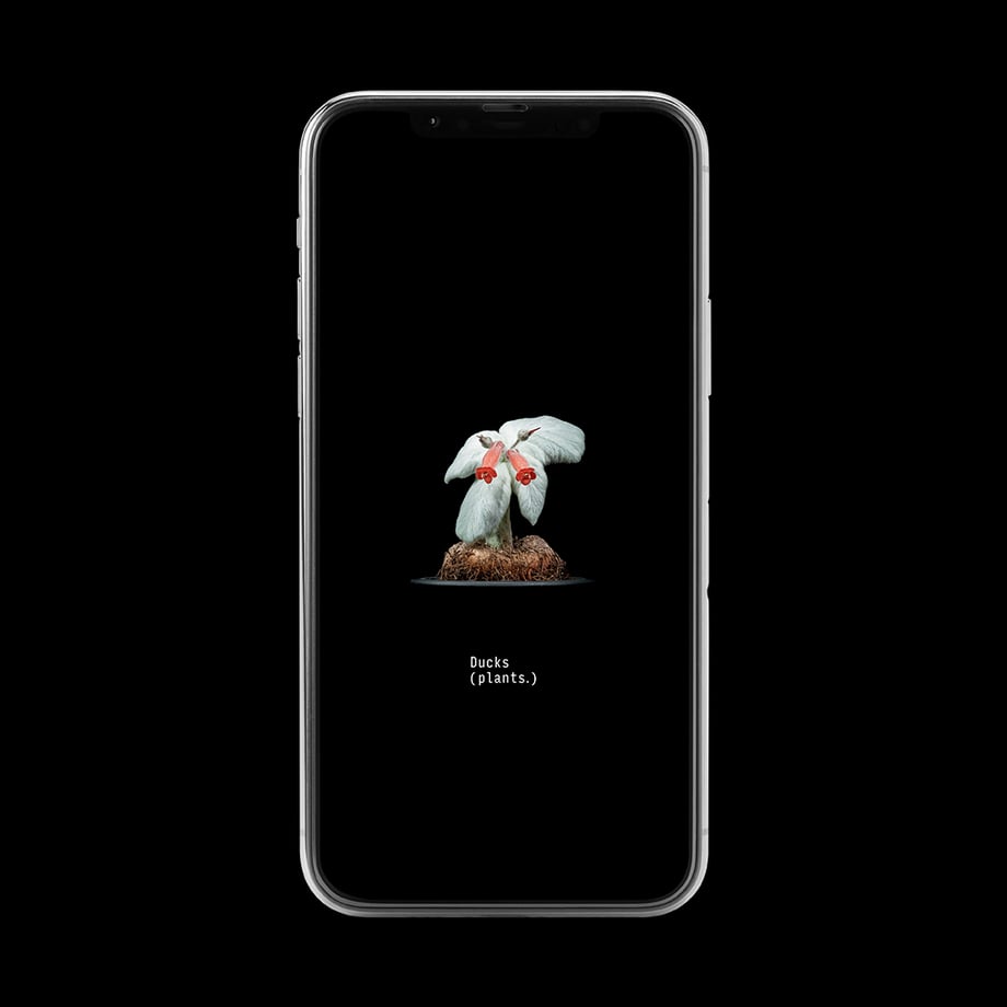 6630c3d36891190236f40796