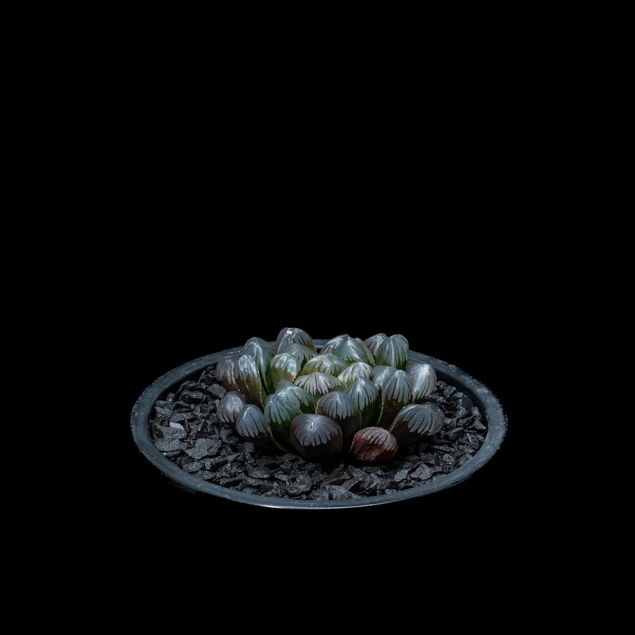 6576eb3b1c5df00054409457