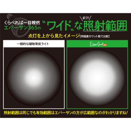 EverSun365 24W