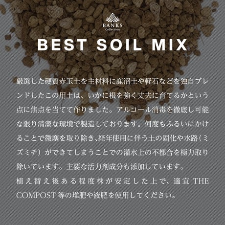 BANKS Collection best soil mix