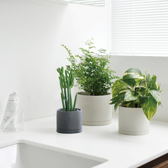 KINTO PLANT POT 191 アースグレー | Ducks ( plants. )