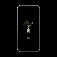 【スマホ壁紙】フォッケア エデュリス