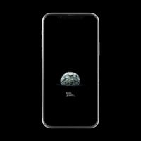 【スマホ壁紙】マミラリア 白星