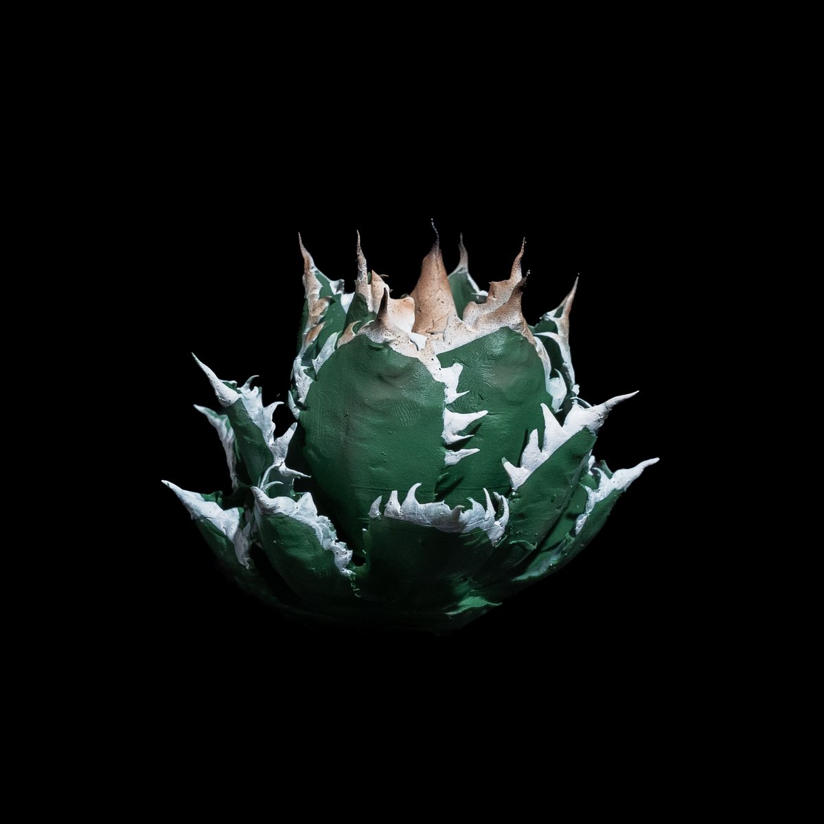 LOBINDON アガベフィギュア レッドキャットウィーズル | Ducks ( plants. )