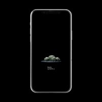【スマホ壁紙】ユーフォルビア オベサ