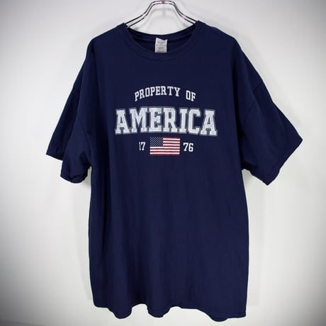 【XXLサイズ】アメリカ プリント 古着 Tシャツ