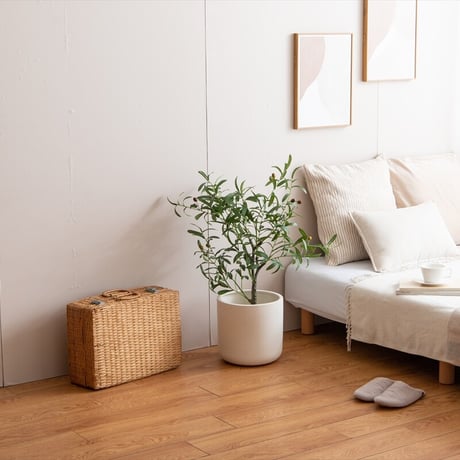【フェイクグリーン】オリーブ 高さ85cm 光触媒シリーズ「Nature(ナチュレ)」