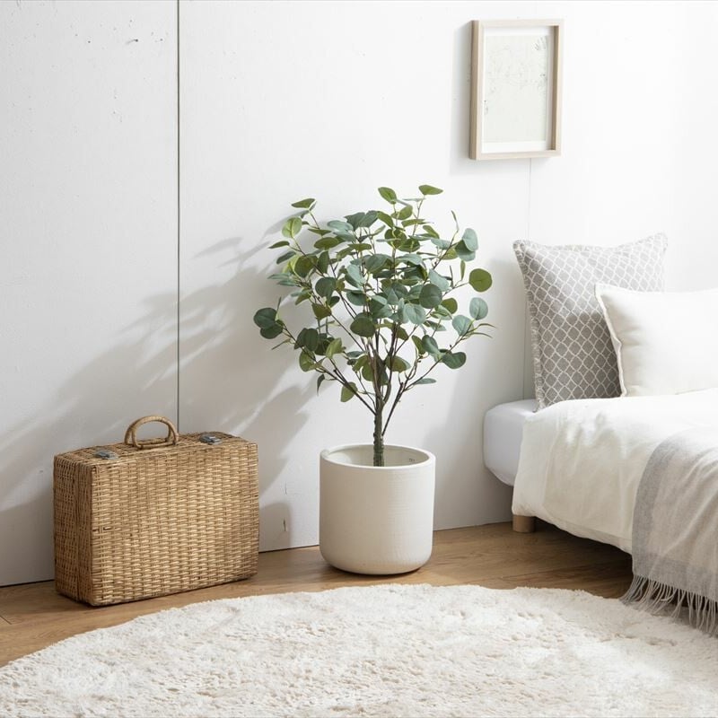 フェイクグリーン】ユーカリ 高さ85cm 光触媒シリーズ「Nature