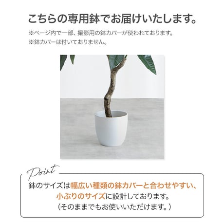 【フェイクグリーン】ベンジャミン 高さ120cm 光触媒シリーズ「Nature(ナチュレ)」