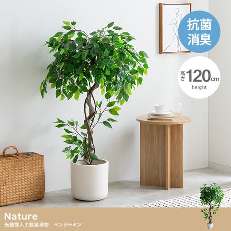 【フェイクグリーン】ベンジャミン 高さ120cm 光触媒シリーズ「Nature(ナチュレ)」