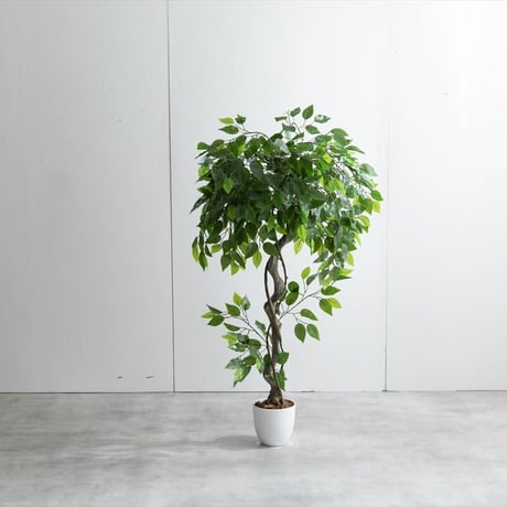 【フェイクグリーン】ベンジャミン 高さ120cm 光触媒シリーズ「Nature(ナチュレ)」