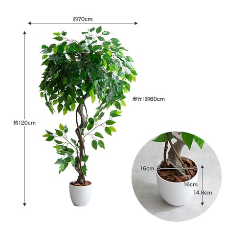 【フェイクグリーン】ベンジャミン 高さ120cm 光触媒シリーズ「Nature(ナチュレ)」