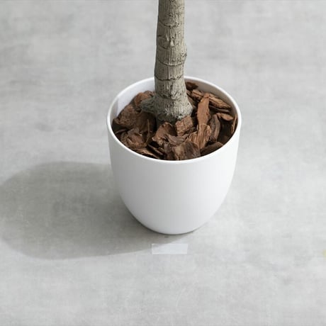 【フェイクグリーン】ベンジャミン 高さ120cm 光触媒シリーズ「Nature(ナチュレ)」