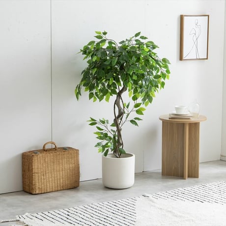 【フェイクグリーン】ベンジャミン 高さ120cm 光触媒シリーズ「Nature(ナチュレ)」