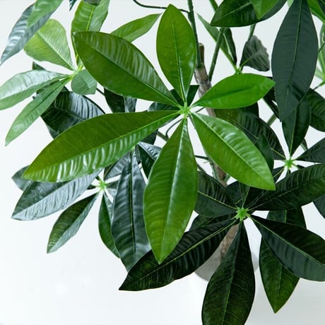 【フェイクグリーン】パキラ 高さ90cm 光触媒シリーズ「Nature(ナチュレ)」