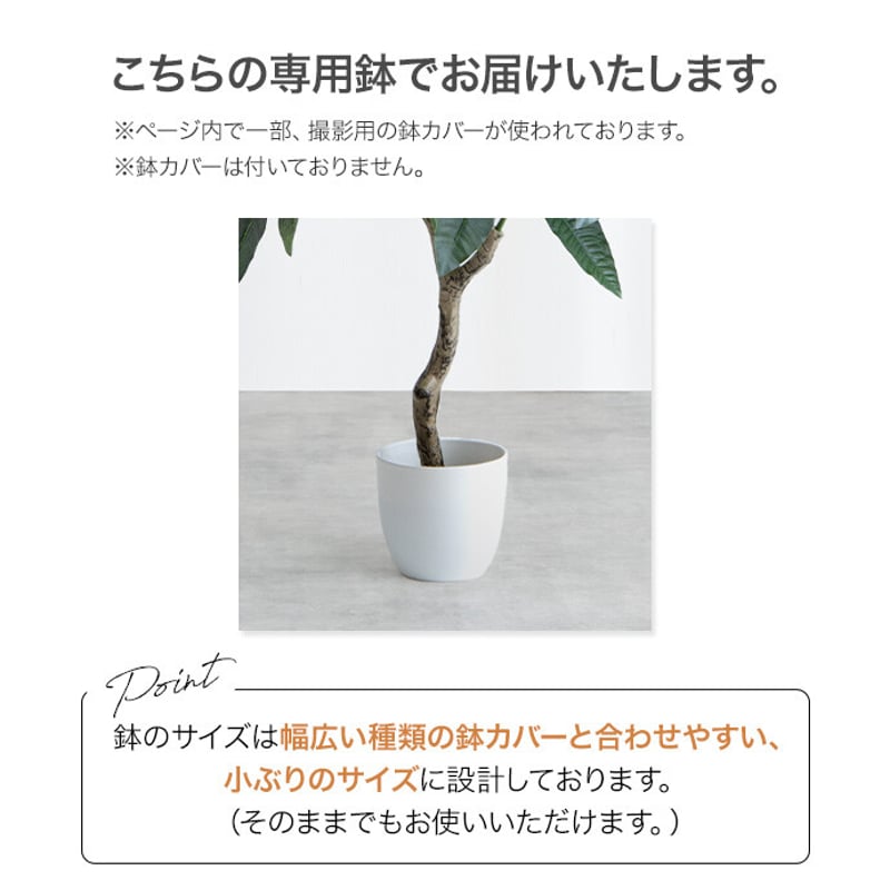 ruka＊ユーカリと針葉樹　黒い森のリース＊№670 他2点 フェイクグリーン】ユーカリ 高さ85cm 光触媒シリーズ「Nature