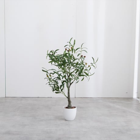 【フェイクグリーン】オリーブ 高さ85cm 光触媒シリーズ「Nature(ナチュレ)」