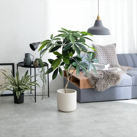 【フェイクグリーン】パキラ 高さ90cm 光触媒シリーズ「Nature(ナチュレ)」