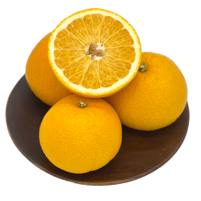 八朔 | 大長プロジェクト