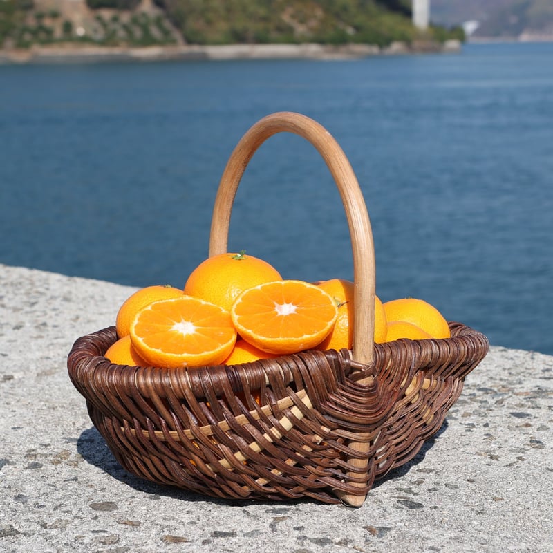 はるみ | 大長プロジェクト