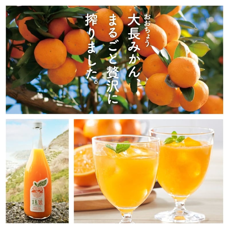 大長娘 100% 蜜柑ジュース 720ml×3本 | 大長プロジェクト