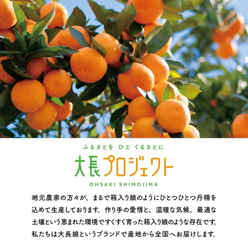 大長娘 100% 蜜柑ジュース 720ml×3本 | 大長プロジェクト