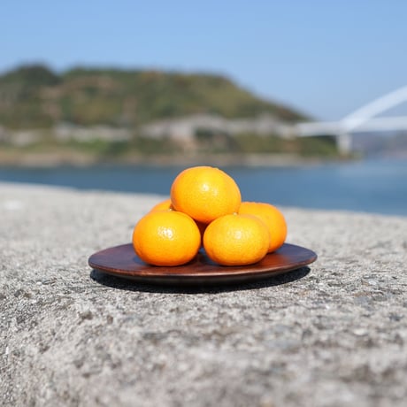 八朔