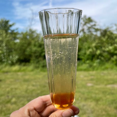 発酵と微生物・発酵食品を学ぶ 9回講座 ― 麹・酵母・乳酸菌・酢酸菌・酪酸菌のはたらきと食