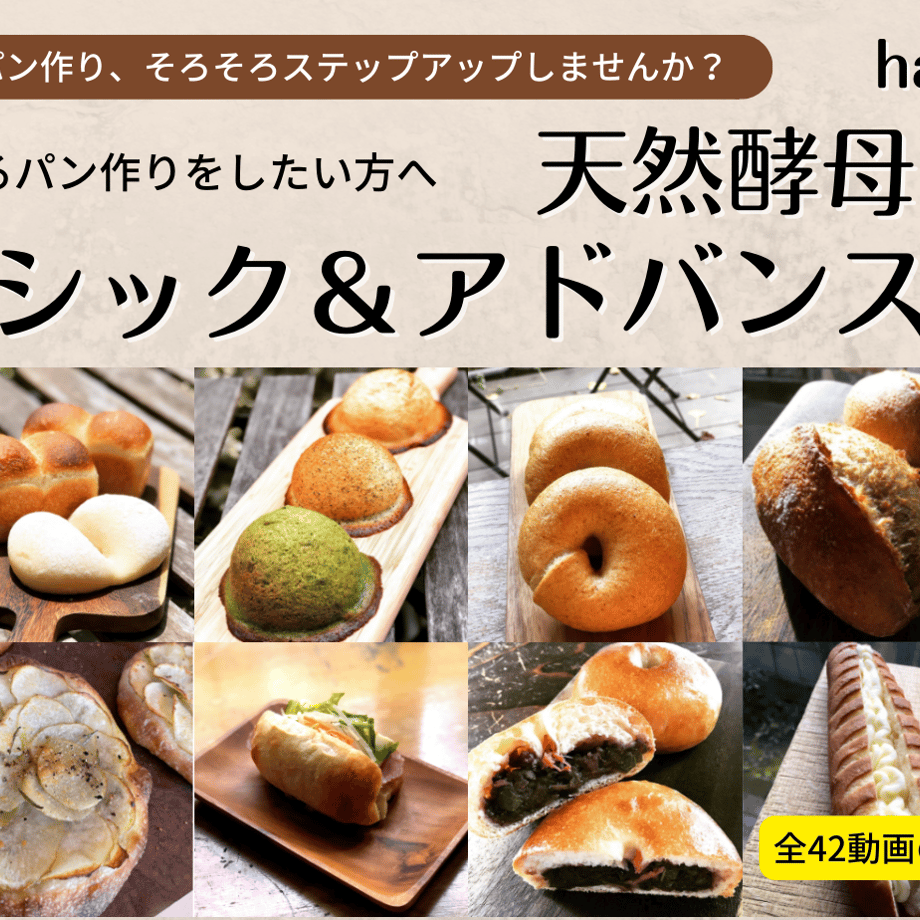 64bb9a1d117e11475d3f4d13