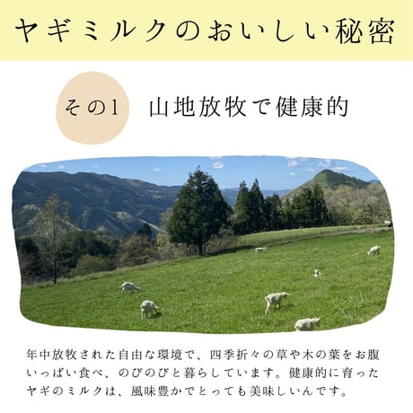みんなのヤギミルクヨーグルト 無糖 1本 & 加糖 6本 飲み比べセット