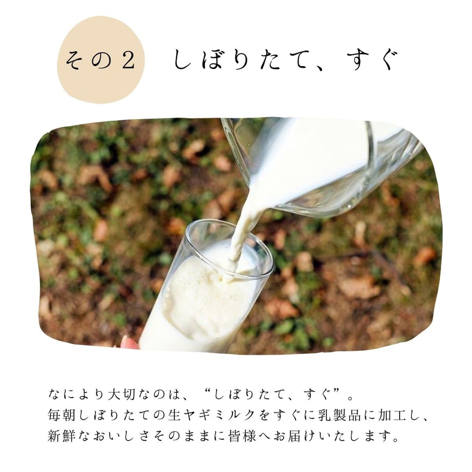 67e6904f8e3e65441908e923