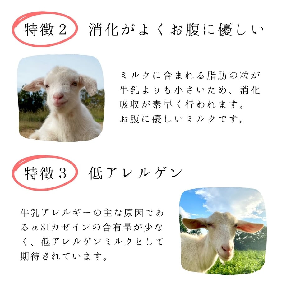 67e68a9a8e3e65aa9b08e84b