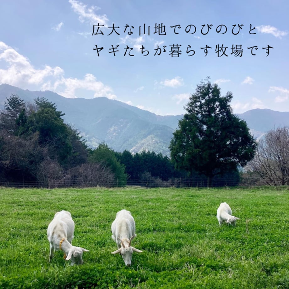 664c9c24717fd90e43968dfb