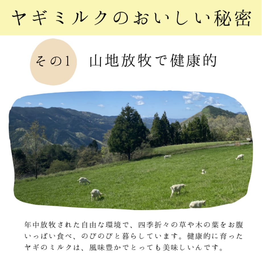 664c9c24717fd90e43968dfb