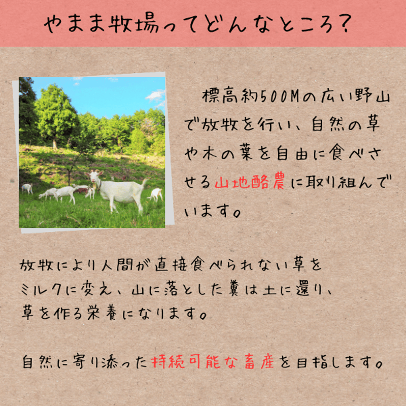 冷凍ヤギミルク 180ml（犬猫用）・10パック | 【公式】やまま牧場