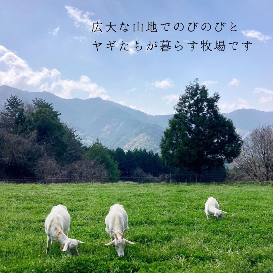 67e689ede5f041d766a0f2ae
