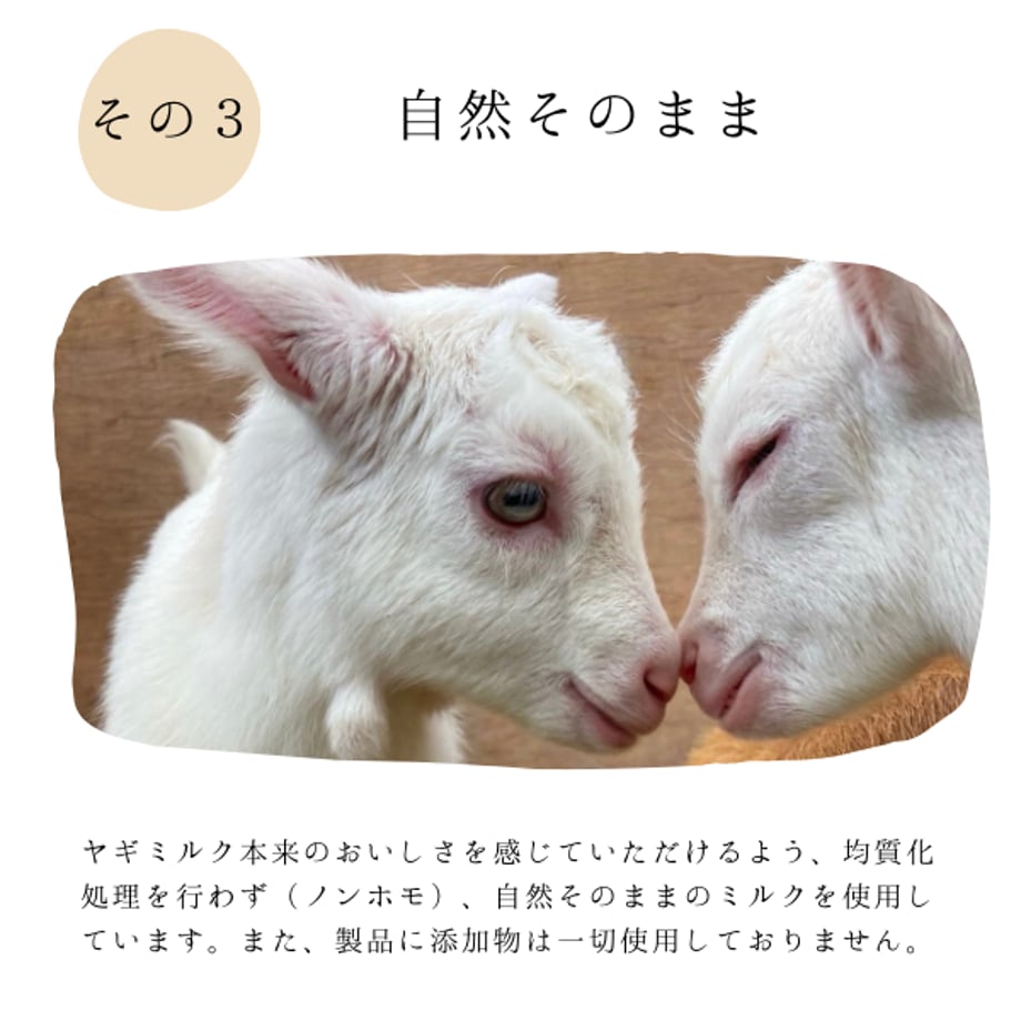 664c9c24717fd90e43968dfb