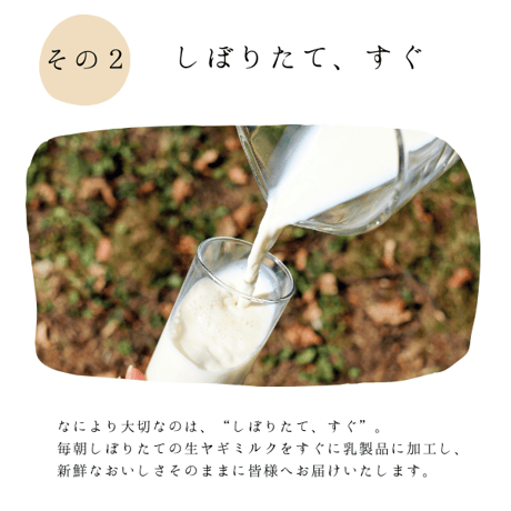 ヤギミルクのプリン（6個 ギフト箱入り）