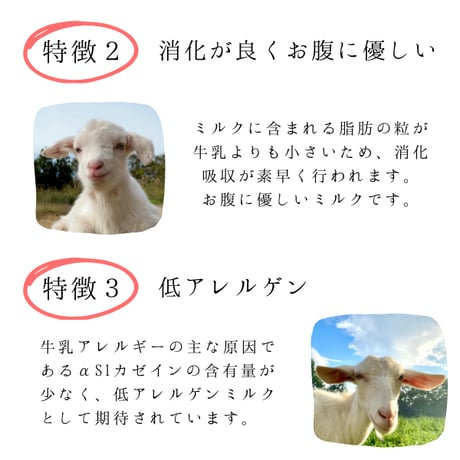 みんなのヤギミルクヨーグルト（無糖タイプ）
