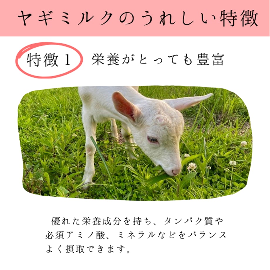 664c9c24717fd90e43968dfb