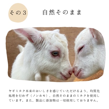 みんなのヤギミルクヨーグルト　3本セット