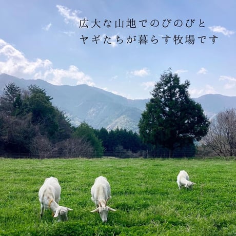 みんなのヤギミルクヨーグルト（加糖タイプ）9本セット