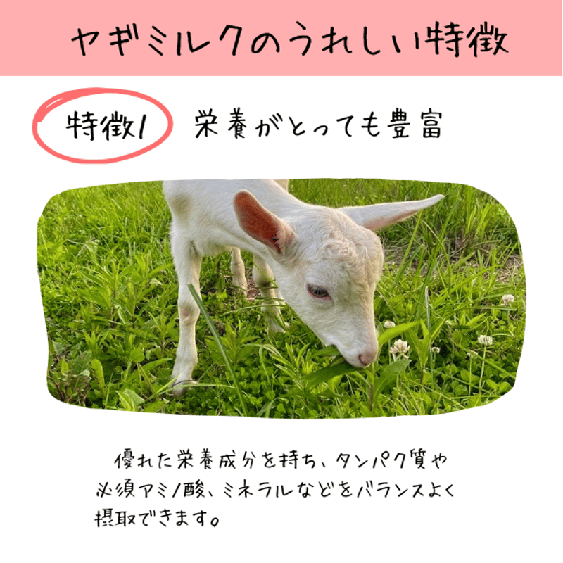 冷凍ヤギミルク 90ml（犬猫用）・20パック | 【公式】やまま牧場
