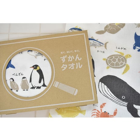 ずかんタオル　のりもの　ミニバスタオル　Calm