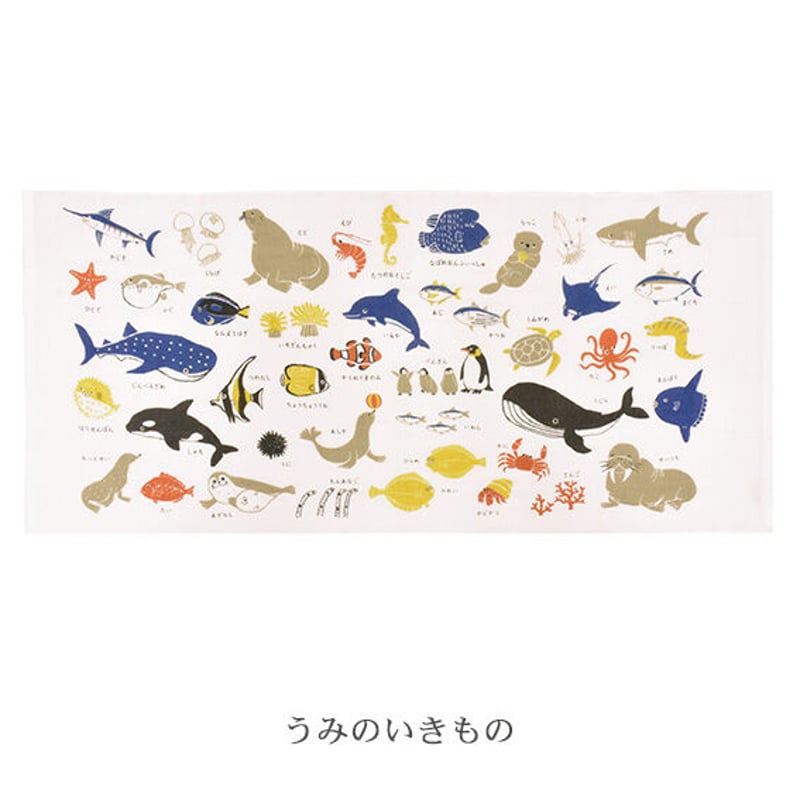 ずかんタオル うみのいきもの ミニバスタオル Calm | クラシノ家具店