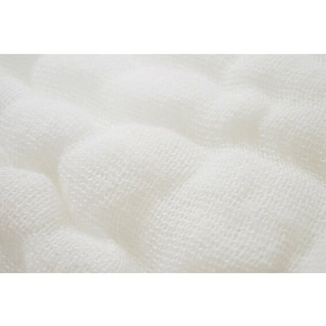 ずかんタオル　のりもの　ミニバスタオル　Calm