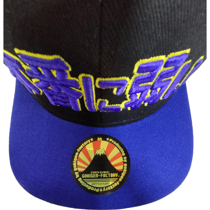 新品　バイオマン　昭和レトロ　帽子　バッジ付き　色メガネ付き　封筒発送 新品 バイオマン 昭和レトロ 帽子 バッジ付き 色メガネ付き 封筒発送