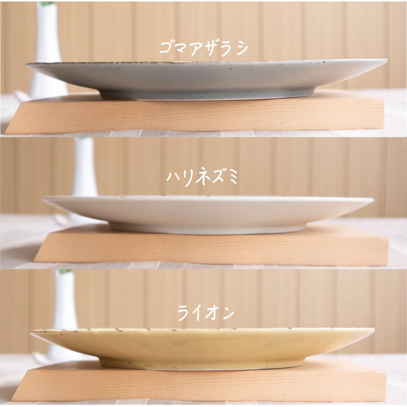 モグモグランチ プレートL | AWASAKA